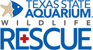 A logo with the words Texas State Aquarium Wildlife Rescue