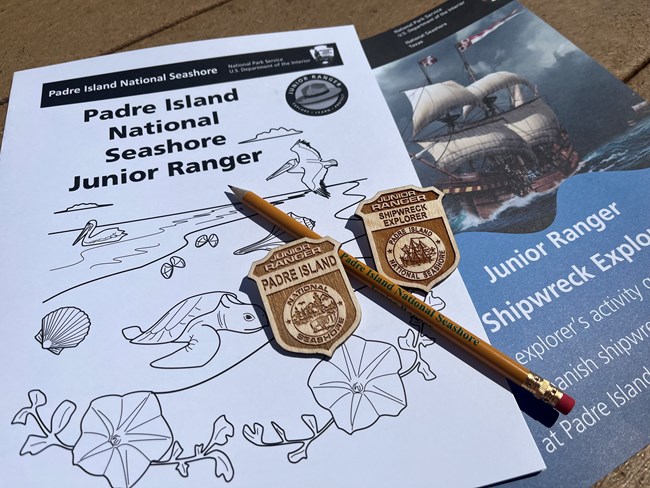 Junior Ranger books and badges