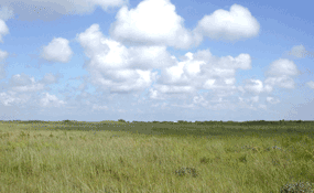 The grasslands west of the Malaquite Visitor Center on a clear day.
