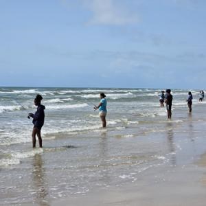 A group of people fishing along the beach.