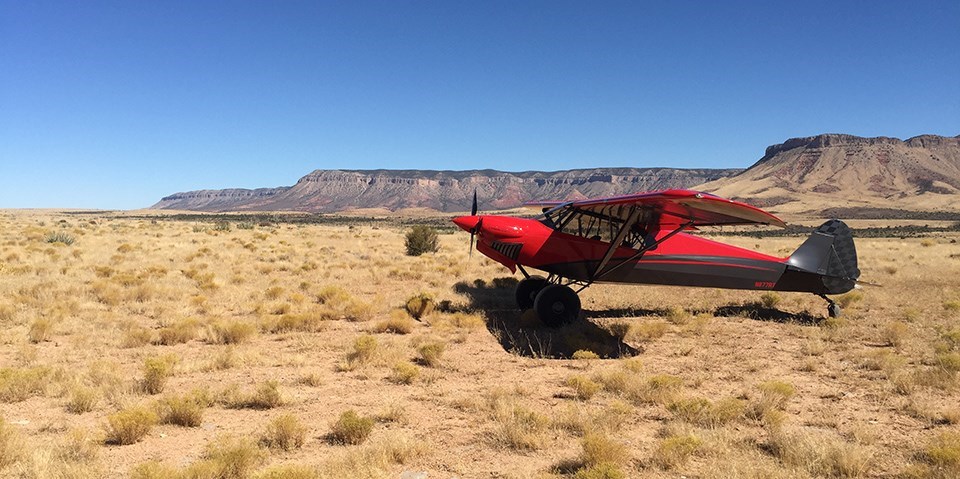 Bush plane at Grand Gulch airstrip