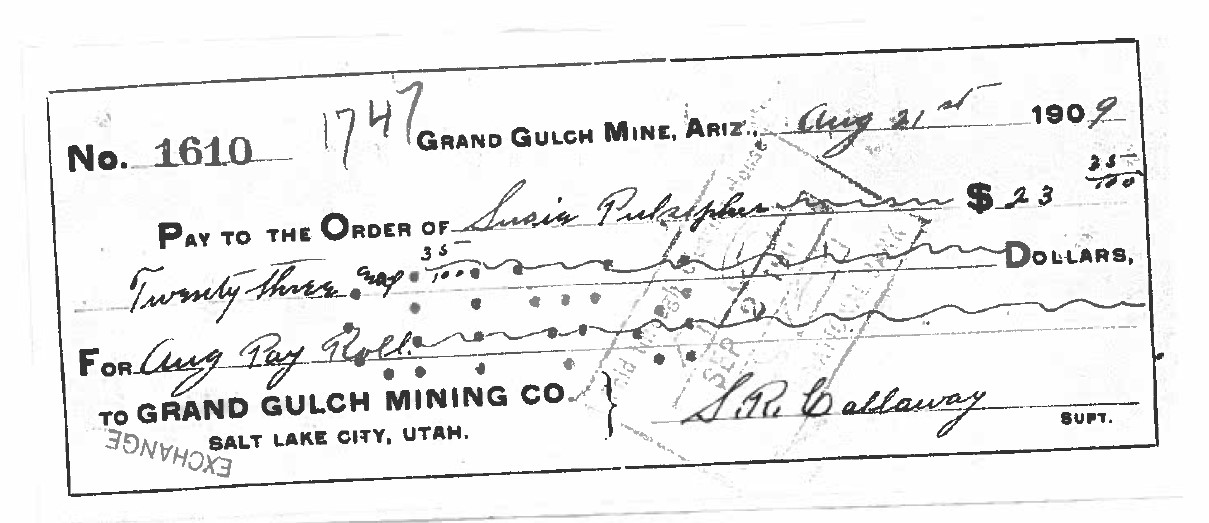 Susie Pulsipher's pay stub