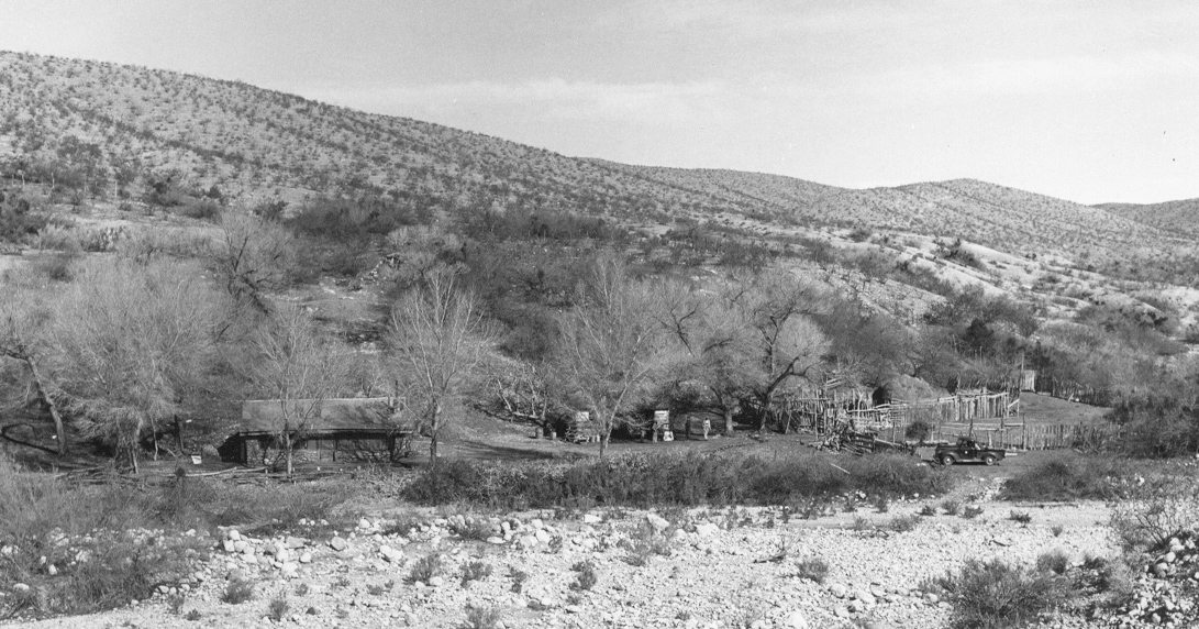 Photo showing the ranch in 1947 with young cottonwoods in front of the ranch house