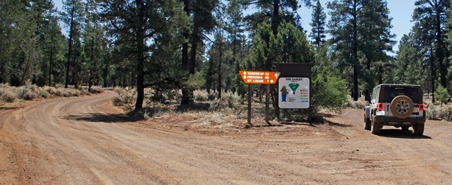 Jeep at road intersection in ponderosa pine forest