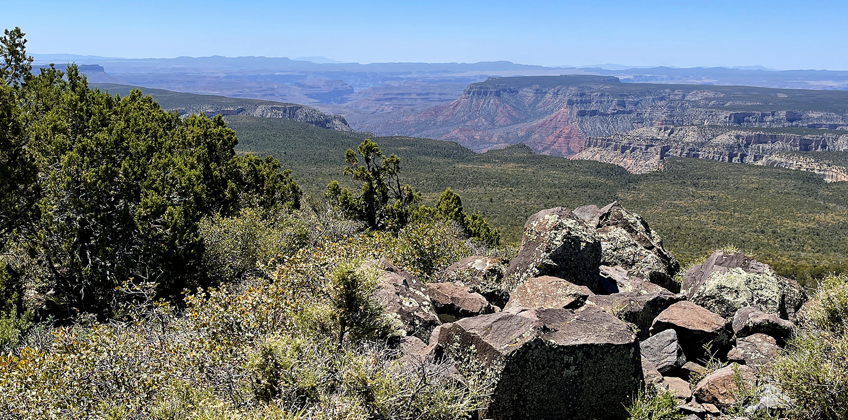 The view from Mt. Dellenbaugh view into the Grand Canyon and Twin Point