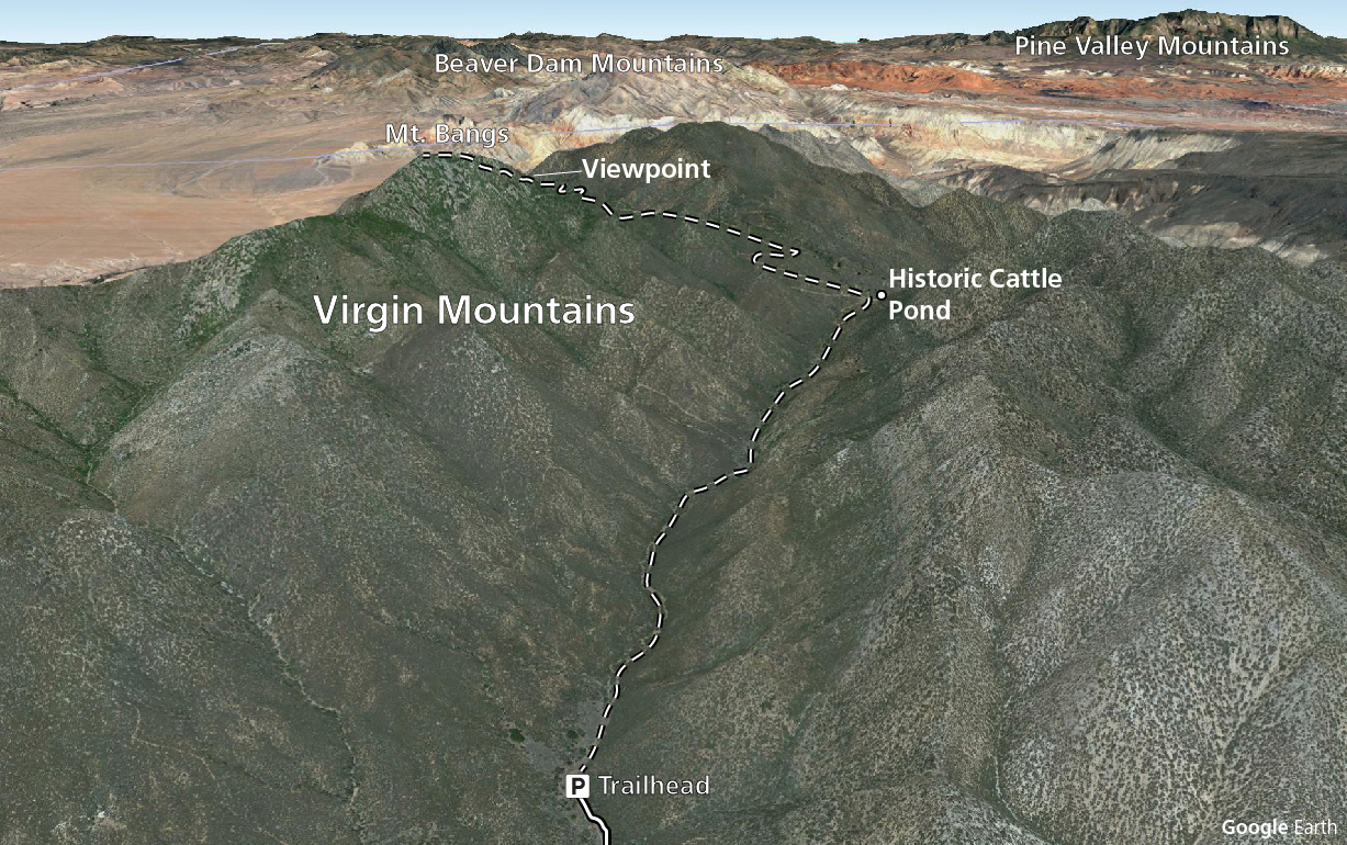 Mt. Bangs Trail on the landscape