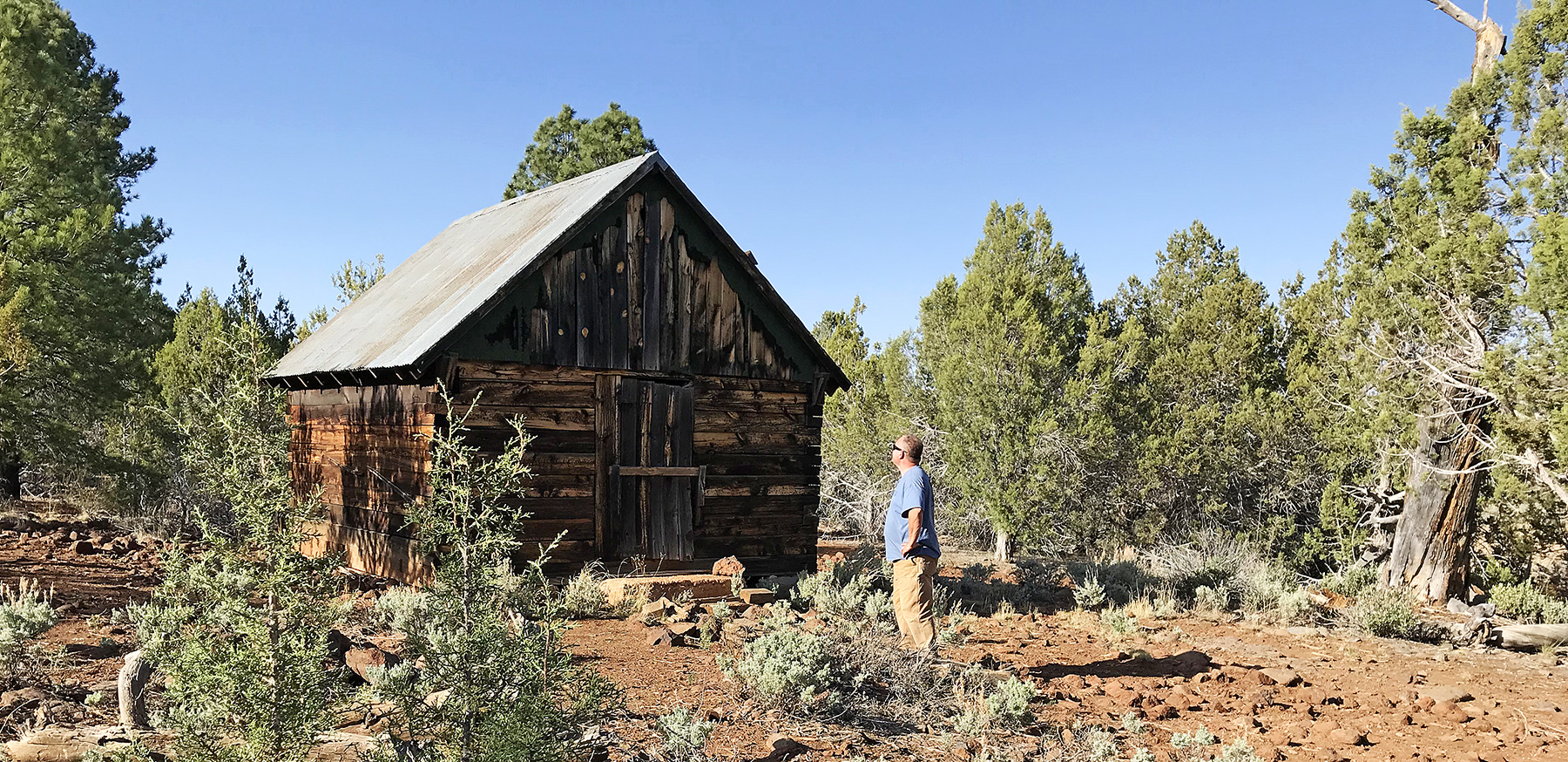 Ruin of the Shanley Cabin along Kelly Point Road
