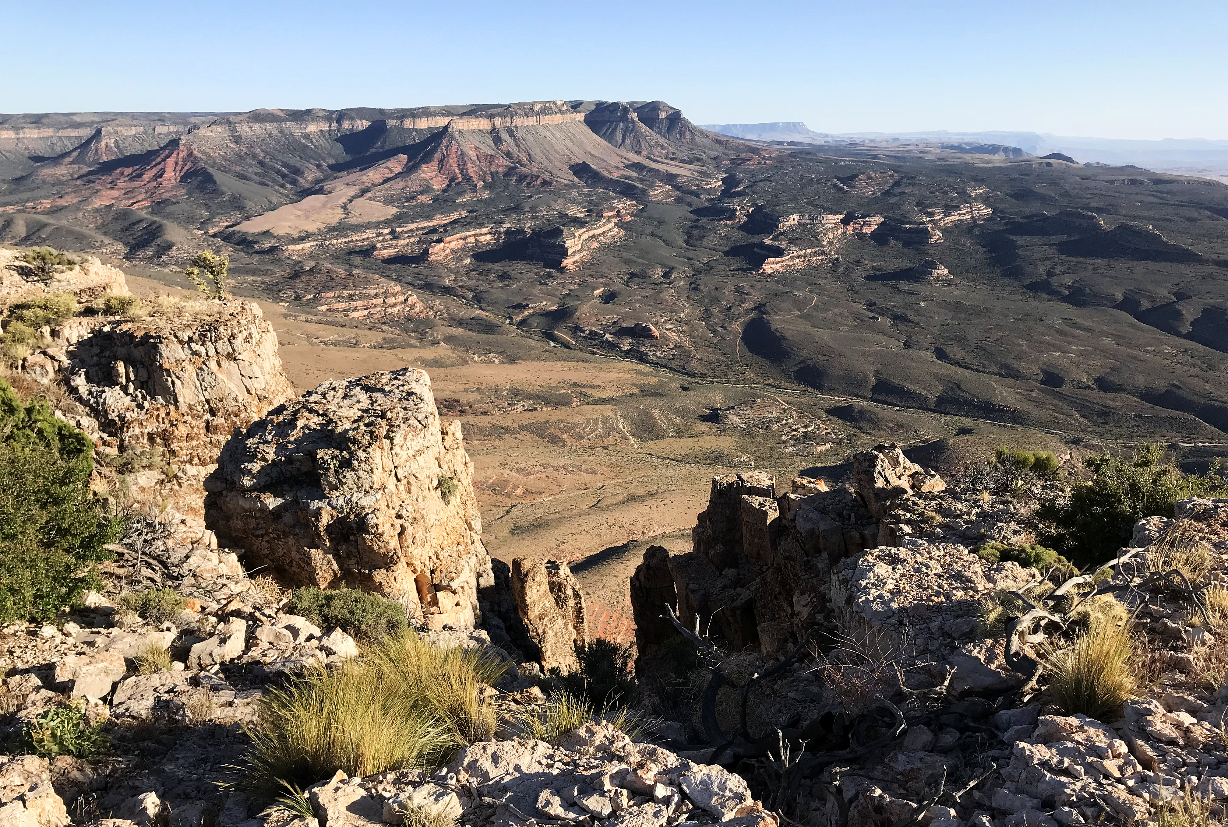 Tweeds Point looking south into Hidden Canyon (left). Grand Wash Cliffs in the distance