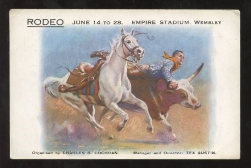 Post Card with picture of a horse, man, and steer
