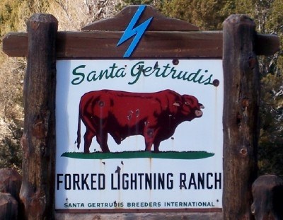 Sign reading "Santa Gertrudis Forked Lightning Ranch