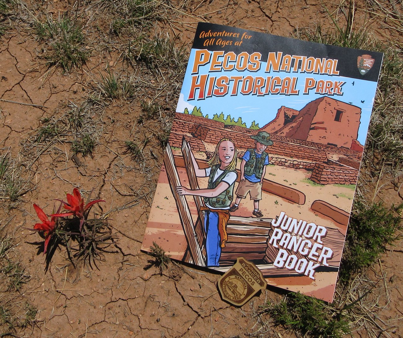 Activity booklet with Wildflowers