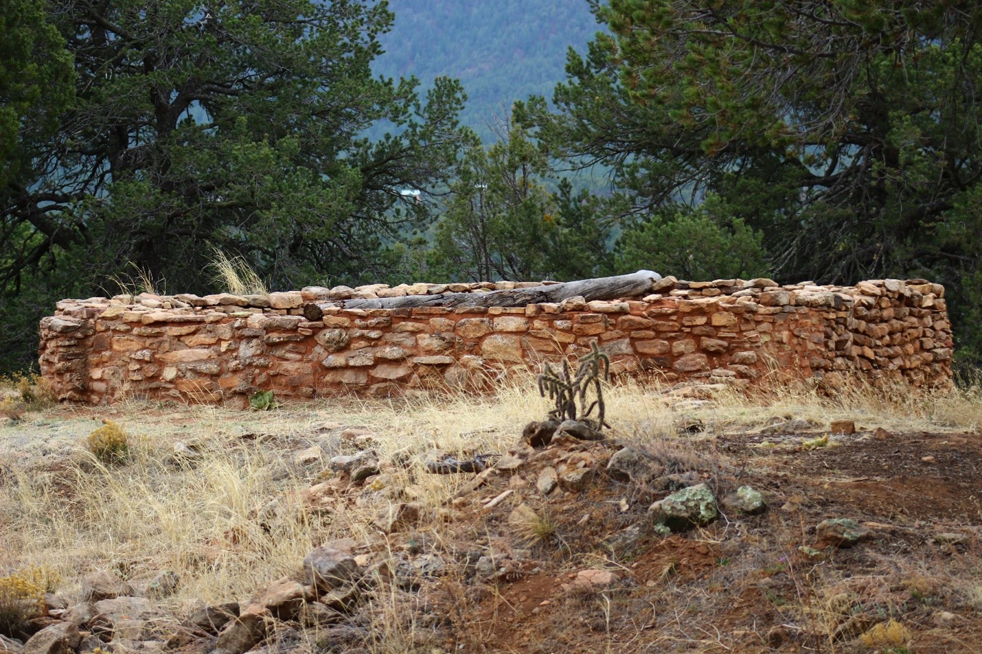 A circular, low stone kiva with a wooden roof beam, surrounded by grass and trees.