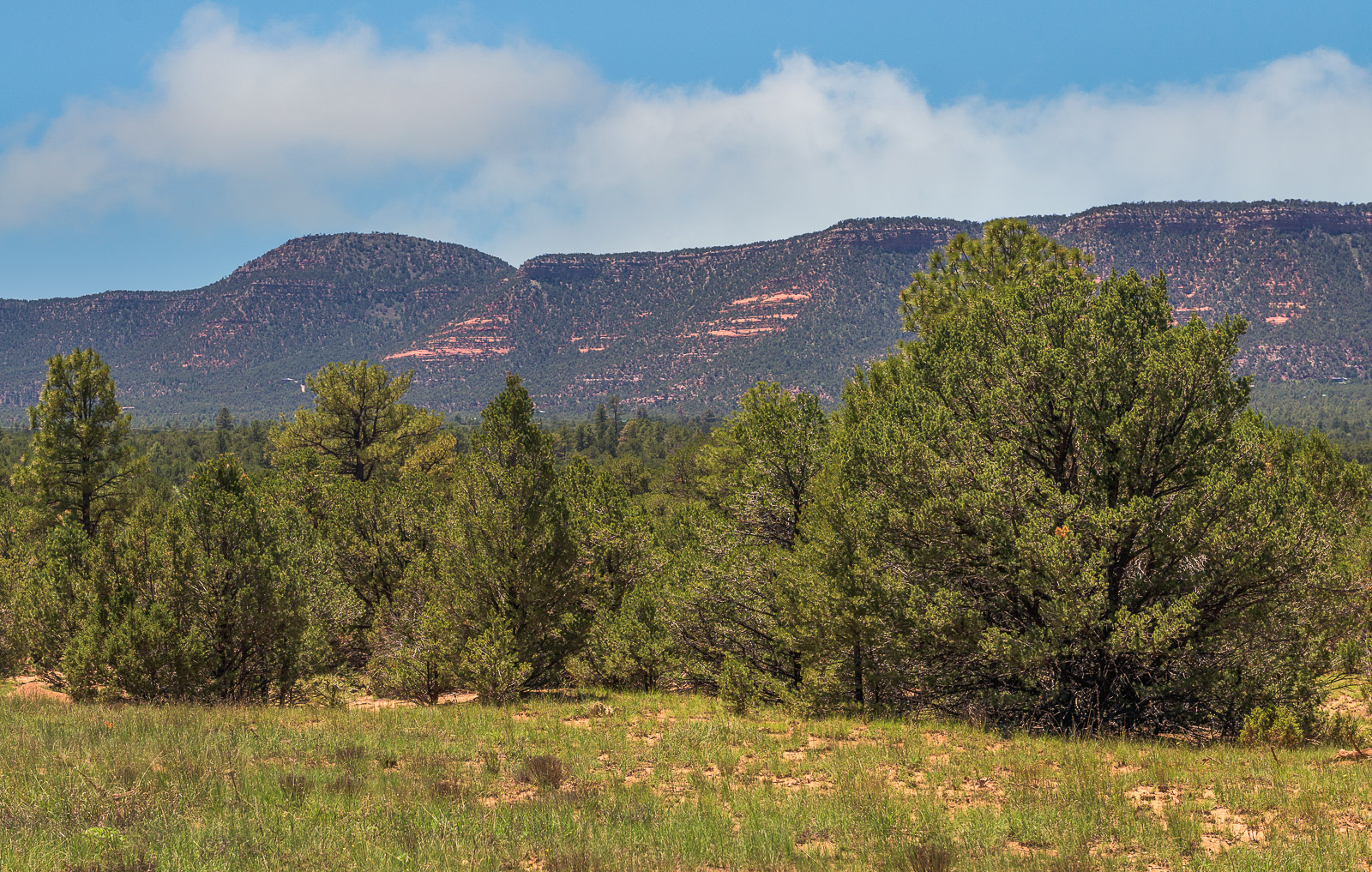 The landform of Glorieta Mesa