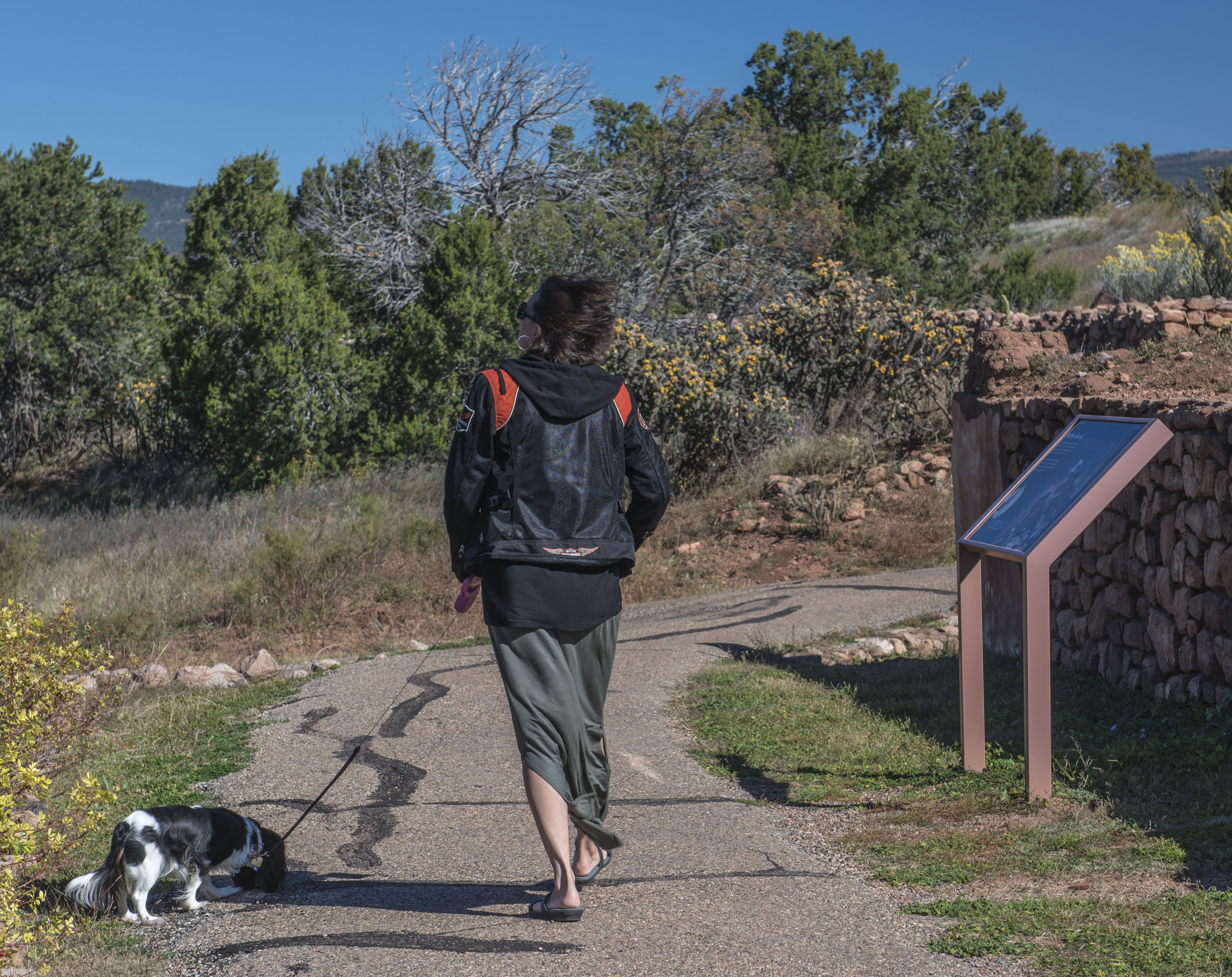 Woman walking dog on trail