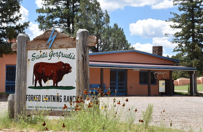 Flowers with Santa Gertrudis sign with steer image in front of pink adobe building with blue doors