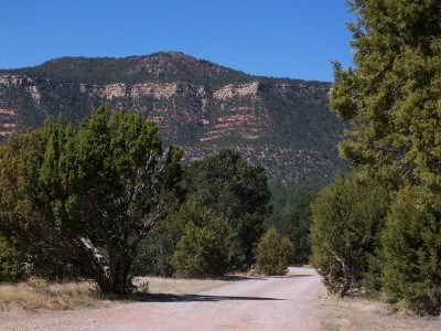 Road leading between pinon and juniper toward mesa