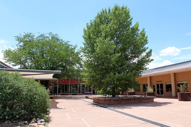 Painted Desert Community Complex plaza with summer trees