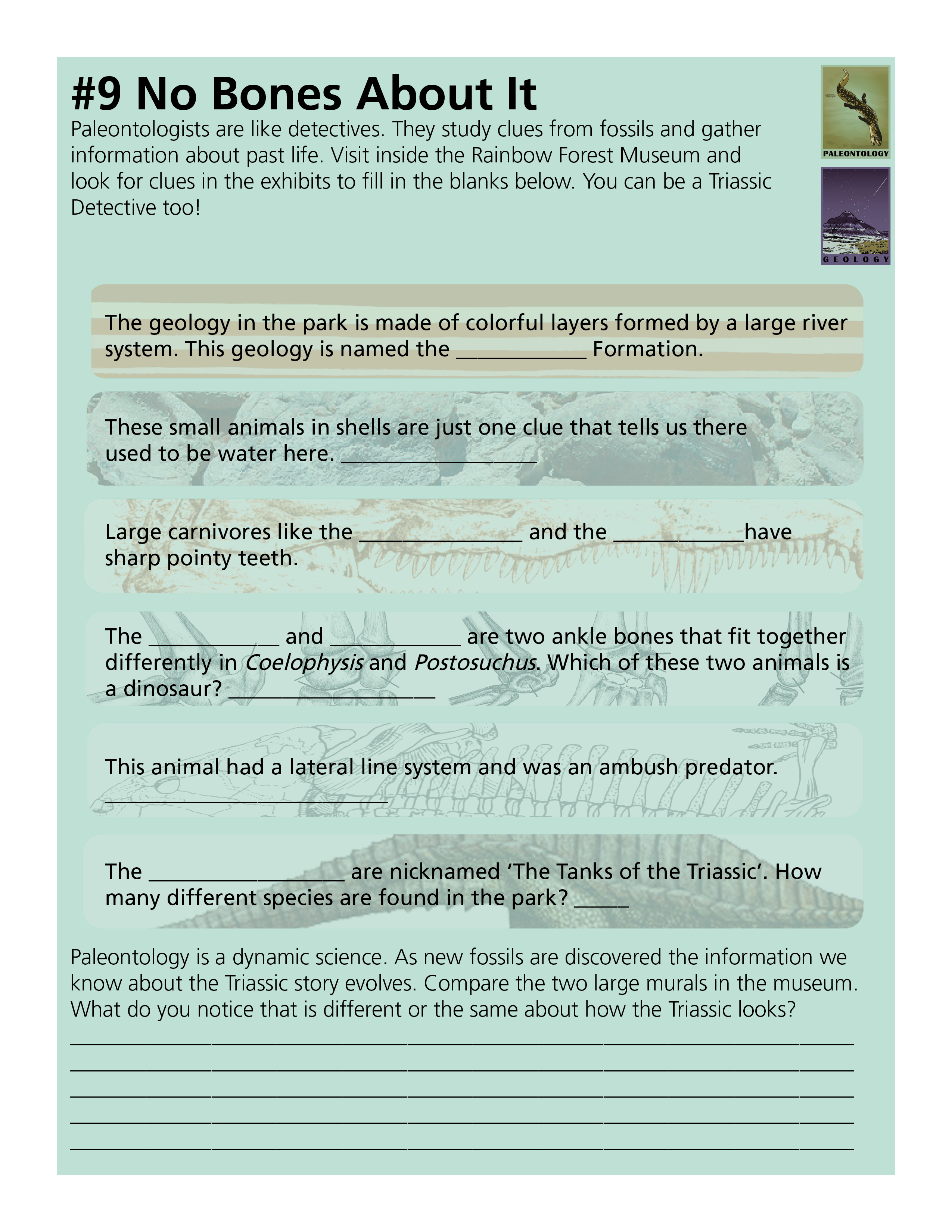 Junior Ranger book page with images and text