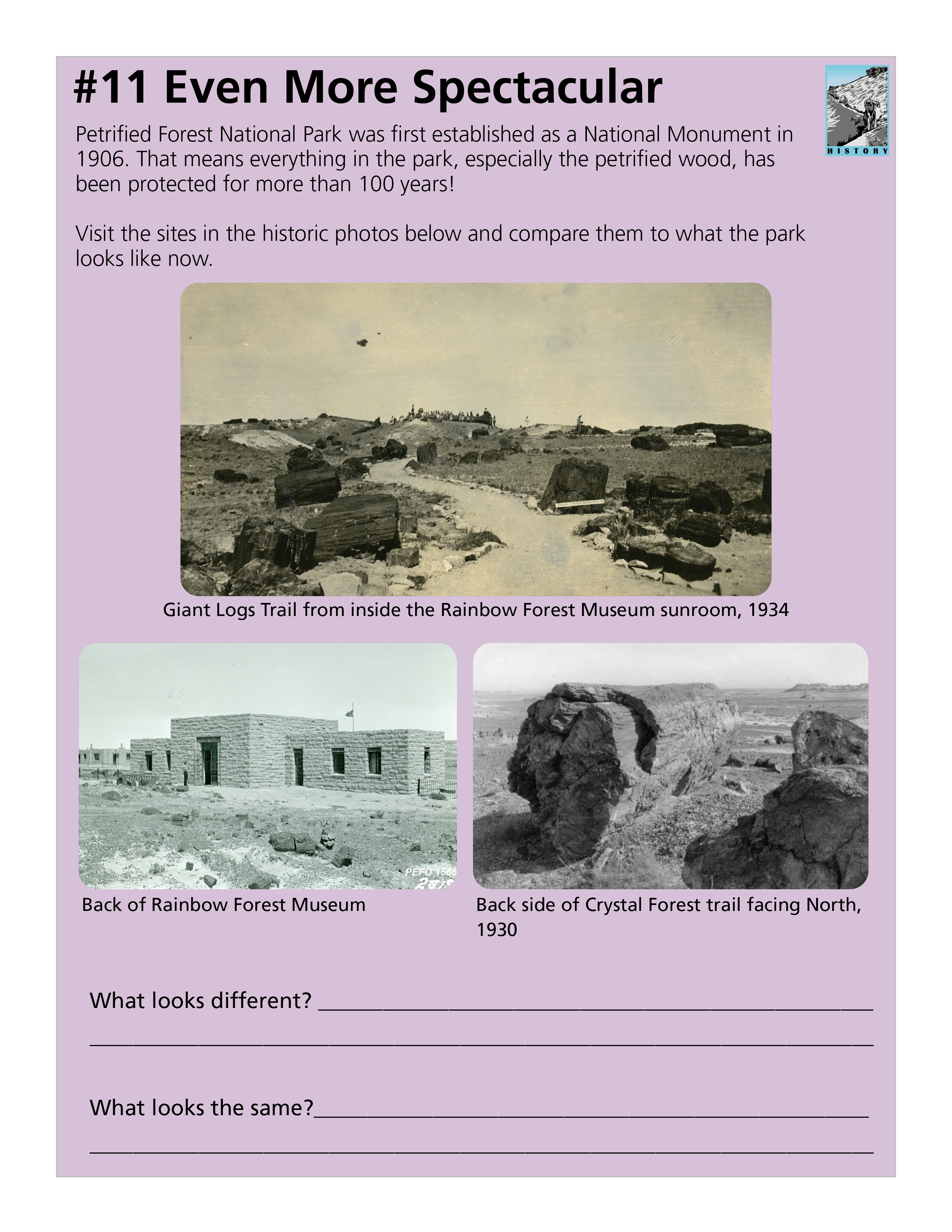 Junior Ranger book page with images and text