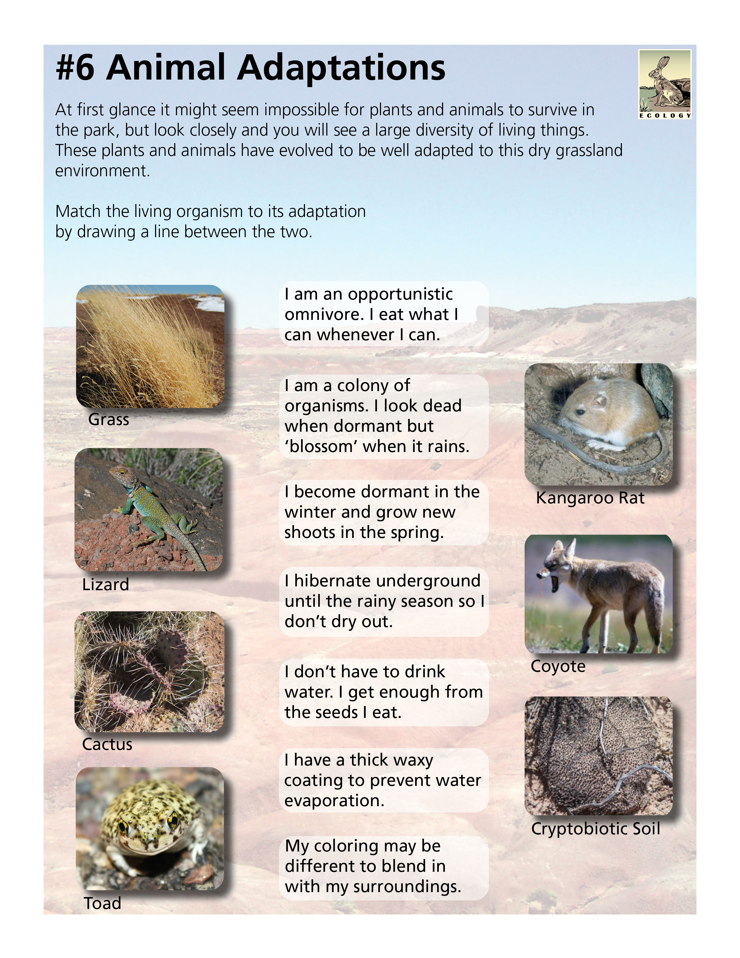 Junior Ranger book page with images and text