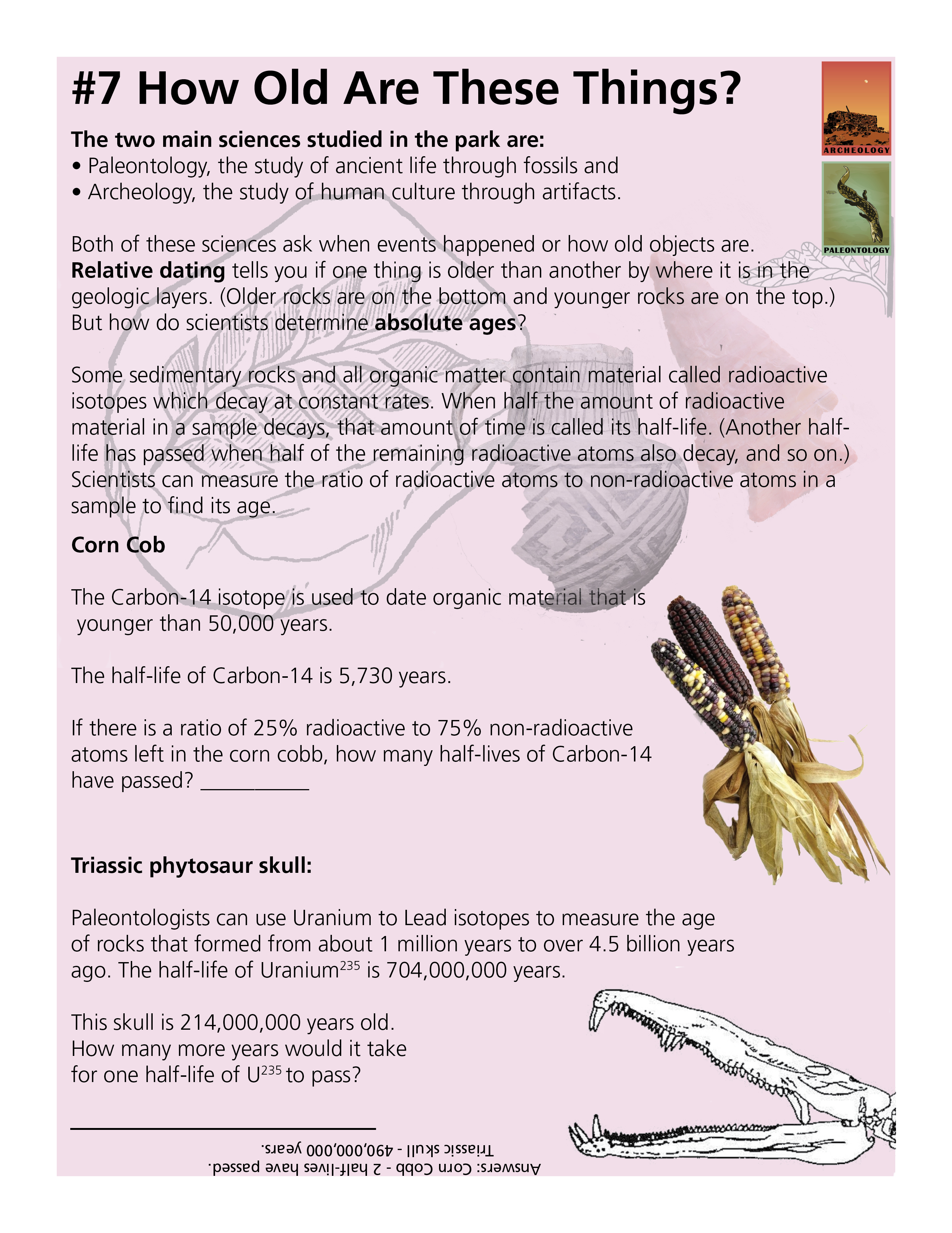 Junior Ranger book page with images and text