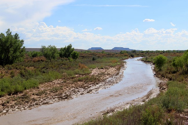 Puerco River