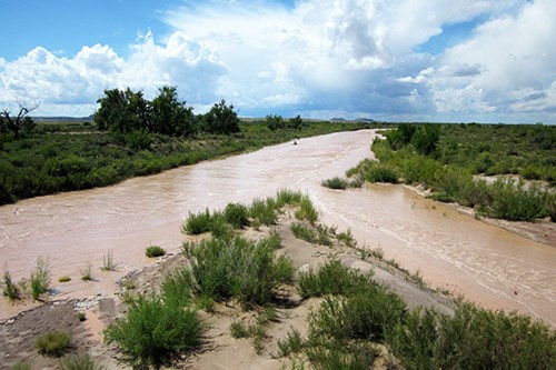 Puerco River riparian area