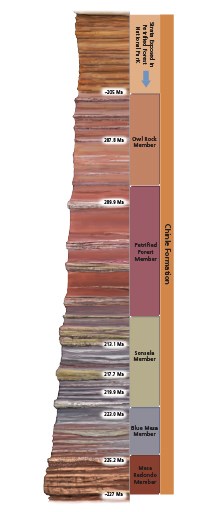 Colorful stratigraphy column