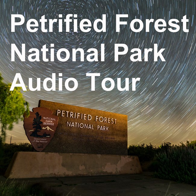 Petrified Forest National Park North Audio Tour on starry sky over entrance sign