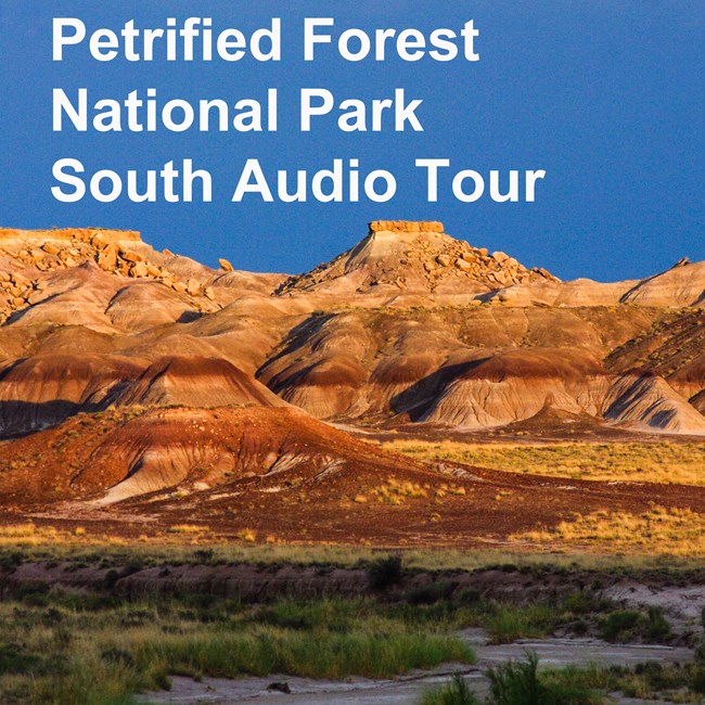 Sunset lit badlands with Petrified Forest National Park Audio Tour text over twilight sky.