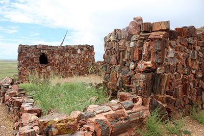 Agate House is an ancient building constructed of petrified wood.