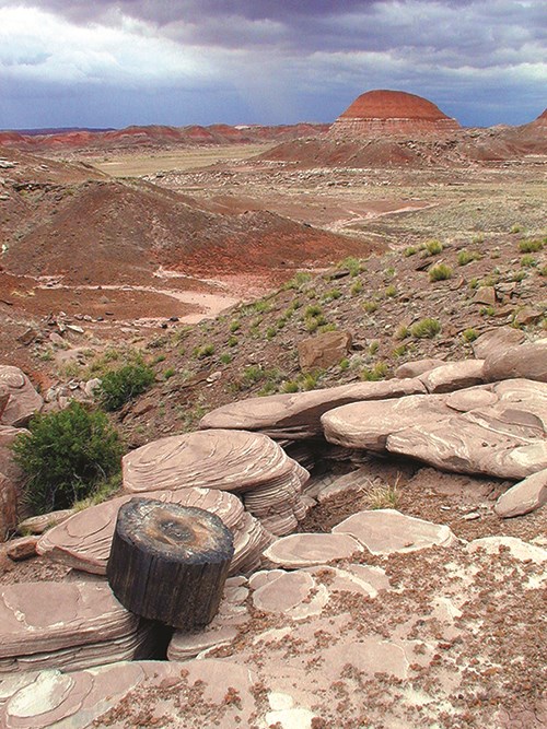Petrified wood and badlands in the Petrified Forest National Wilderness Area
