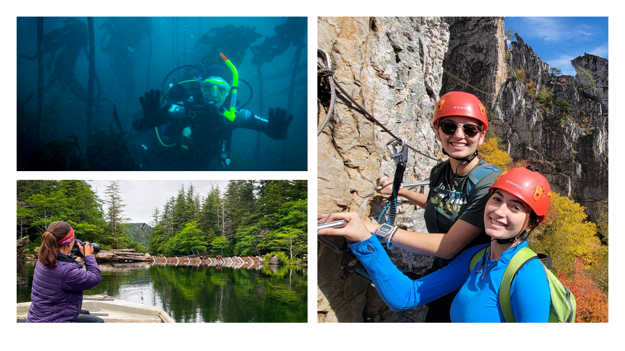 1) A scuba diver waves in a kelp forest wearing a yellow mask and snorkel.
2) Two females hang on the side of a mountain in climbing gear.
3) A white female wearing a purple jacket sits on a skiff while facing a fish weir, taking photos of bears.