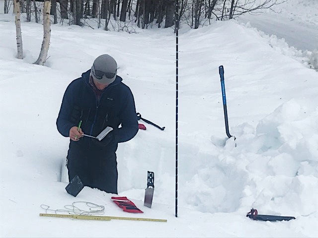 A ranger studies the snowpack and assesses for avalanche hazard