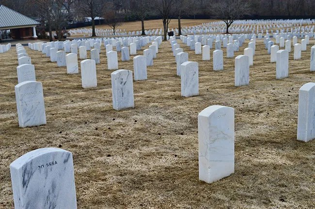 Image of roses of tombstones in a vast cemetery