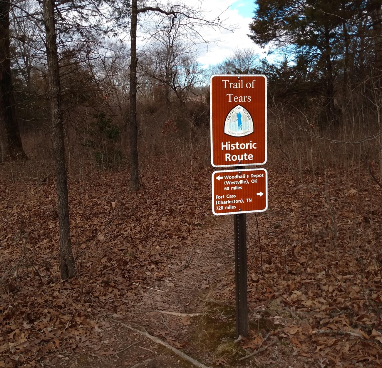 Photo of a white and brown sign standing near some trees with leaves all over the ground.