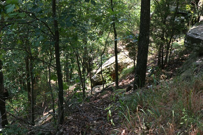 Rocks below the East Overlook.