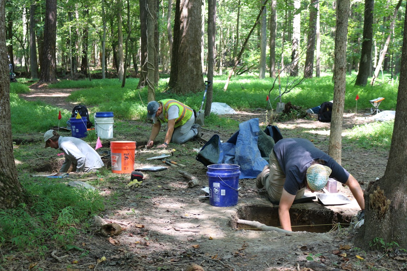 Three archeologists dig into separate square units, in the middle of the woods.