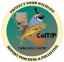 Report Poaching and Polluting in California (call 1-888-DFG-CALTIP)