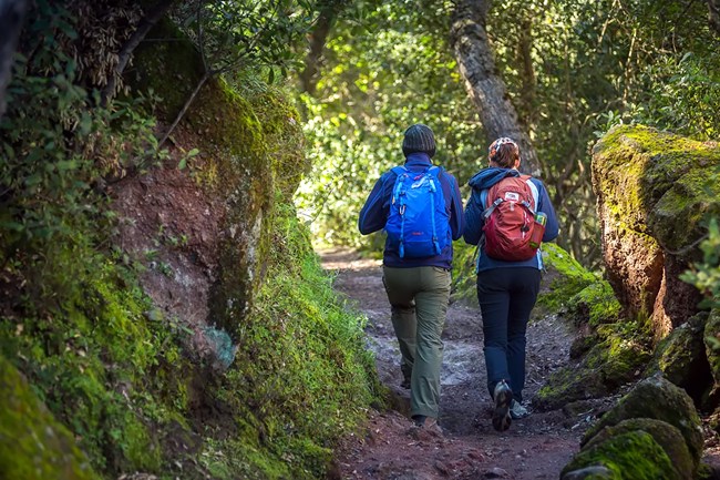 Two young women hiking through the woods.