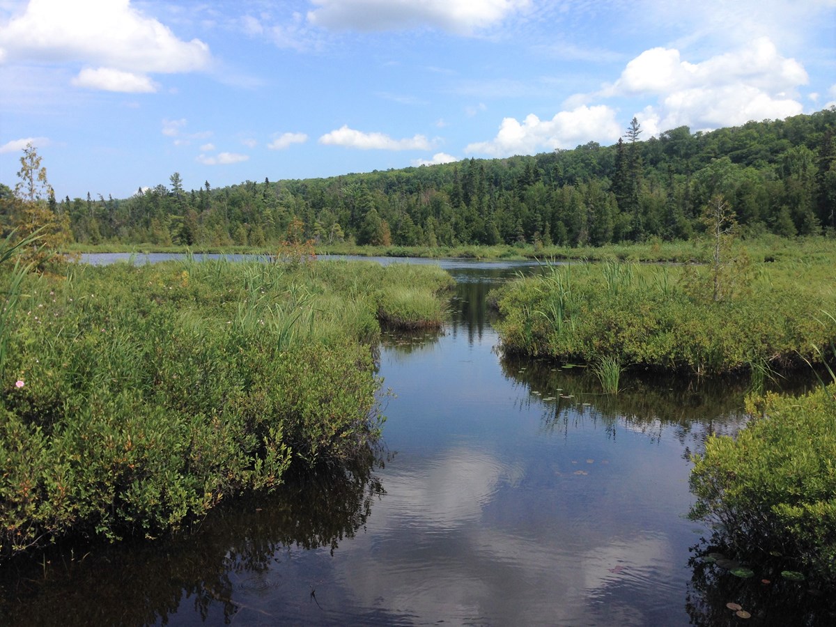 wetlands-marshes-and-swamps-pictured-rocks-national-lakeshore-u-s-national-park-service