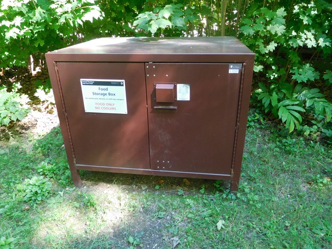 A brown metal box about 2 feet by 3 feet with two doors feet sitting on the ground.