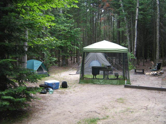 A Campsite with two tents, one is a screen tent over the picnic table. The campsite is surrounded by trees.