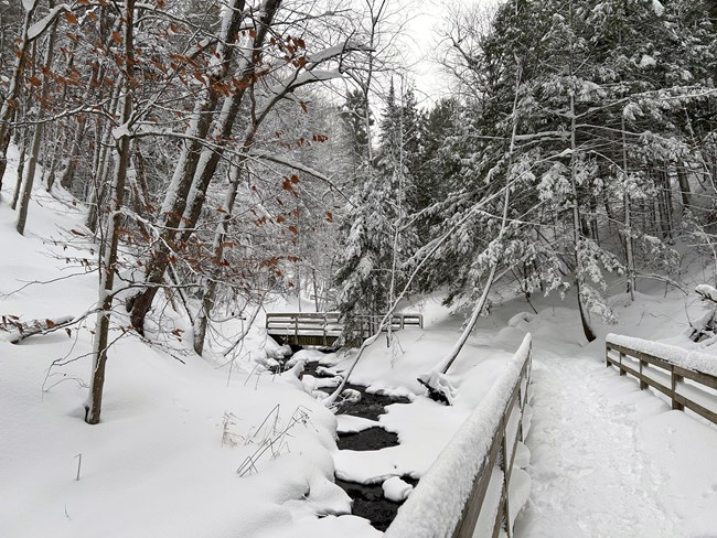 a thick layer of fluffy snow lines a trail with a creek running next to it