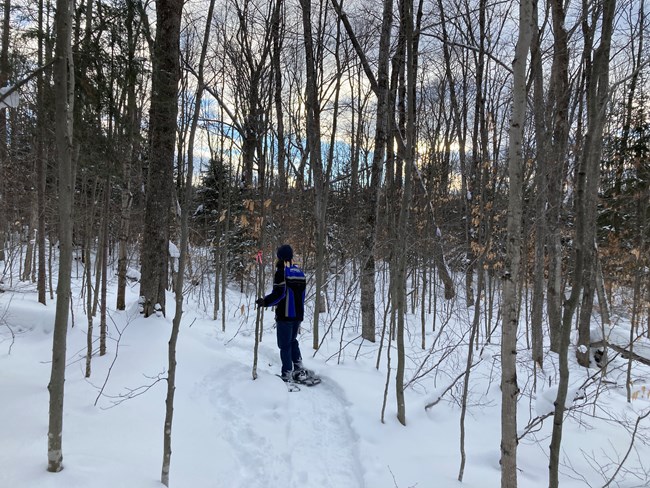 a person snowshoes on a snowy trail