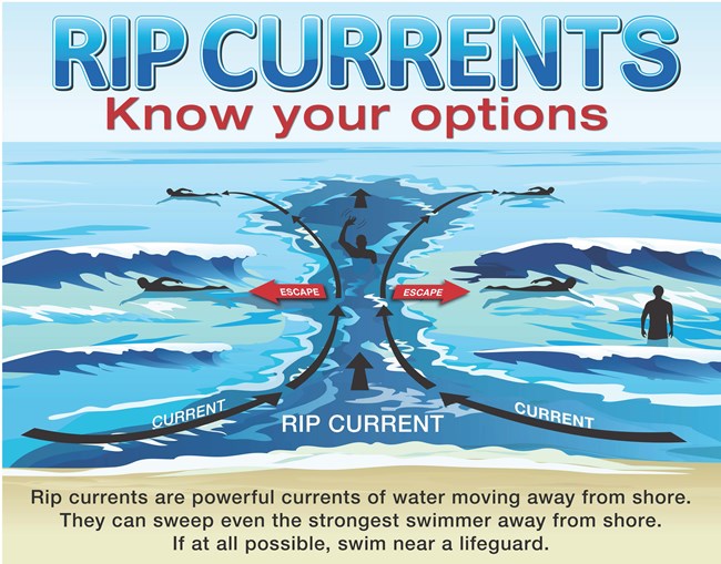 a safety poster showing a rip current taking swimmers out from shore. The poster directs swimmers to swim out of the current, parallel to shore, before swimming to shore at an angle.