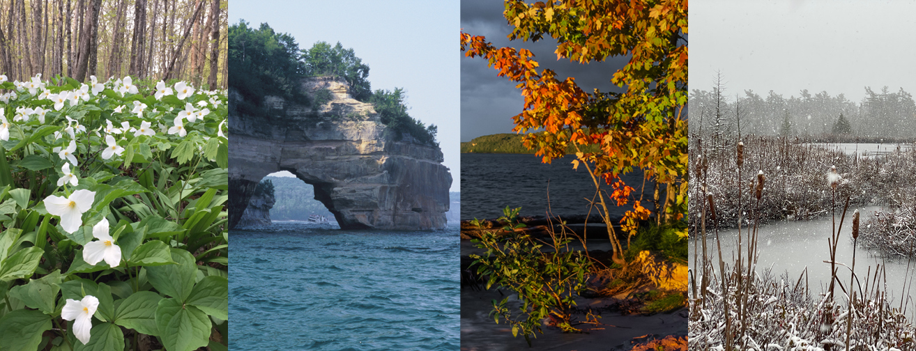 Four photos in a banner style: from left to right, a field of trillium, a view of a rock arch from the water, autumn leaves, and a winter wetland scene