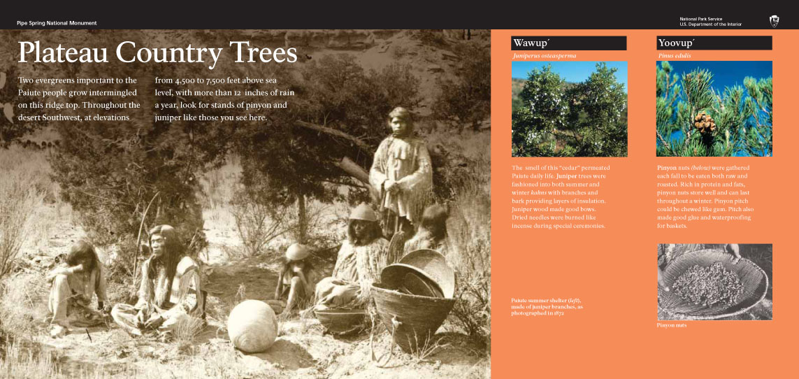 Plateau Country Trees