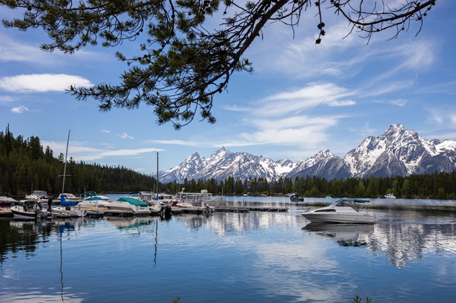 Motorized boat prepares to dock at Colter Bay Marina.