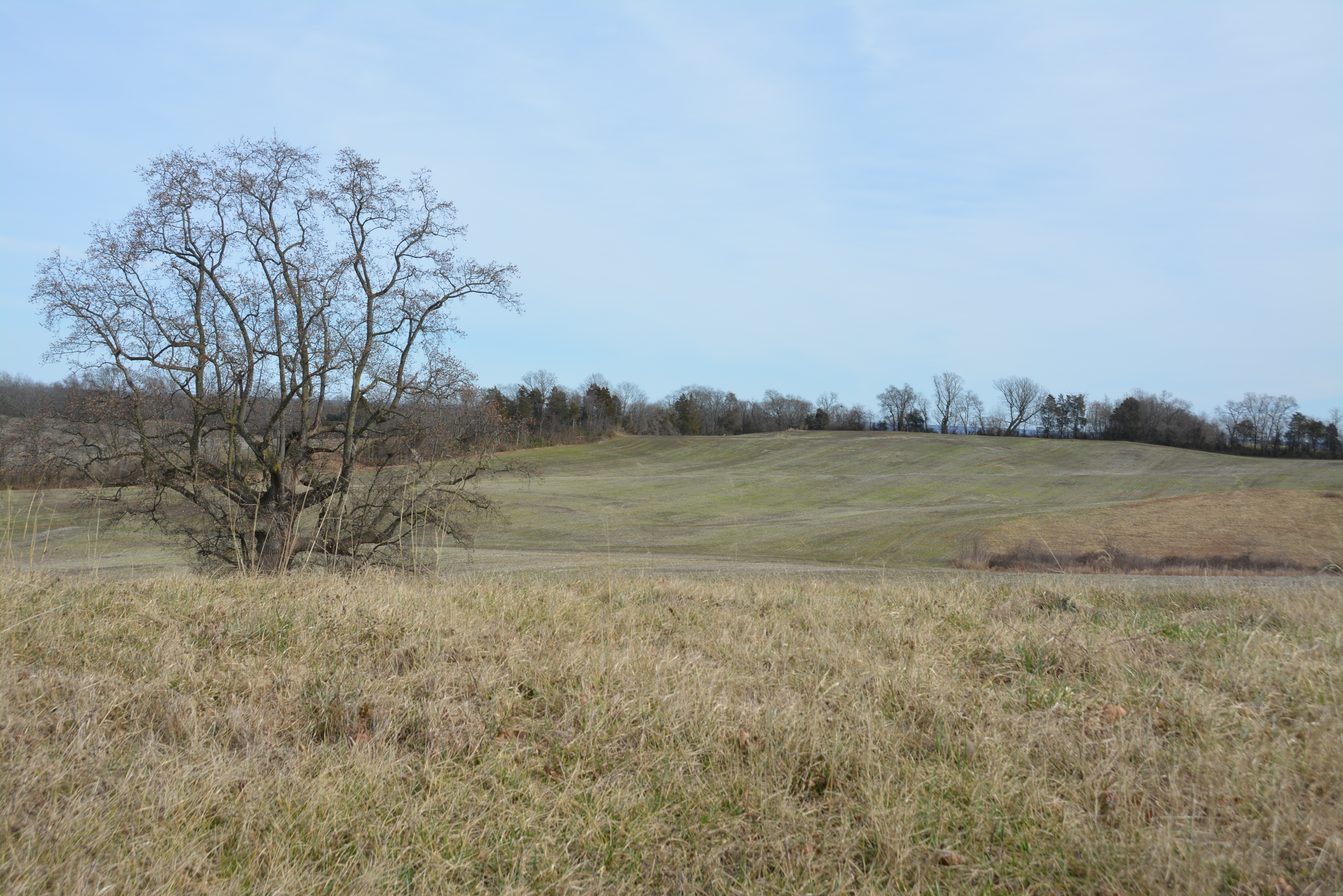 Brandy Station Battlefield in Culpeper County, Va.